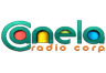 Logo de Radio Canela Pichincha 106.5 FM